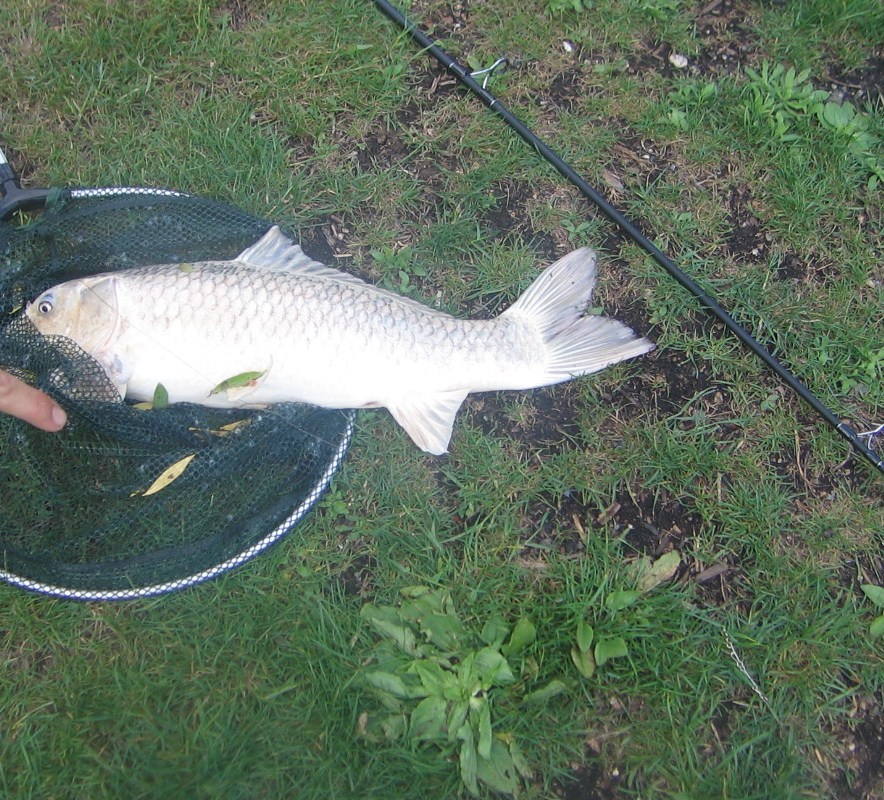 Peche a l etang