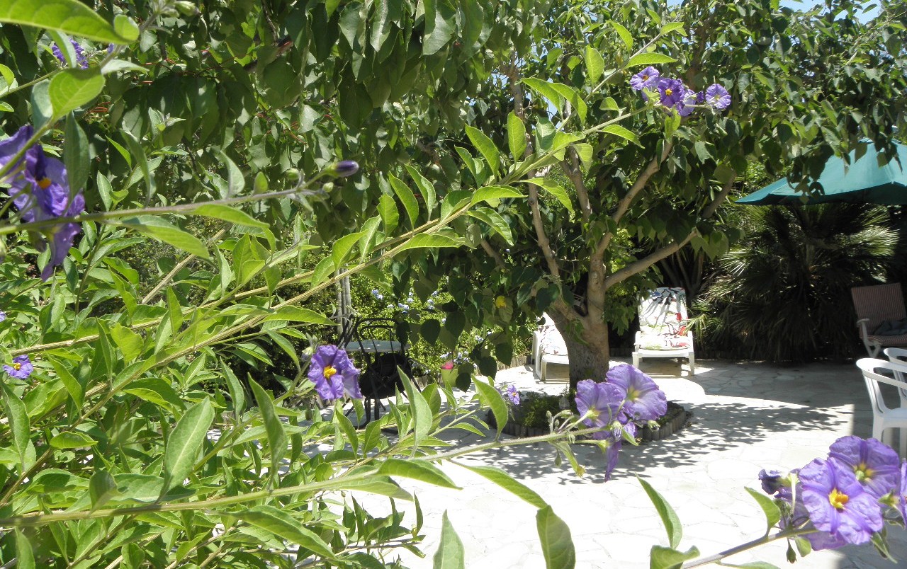 5 jardin nord