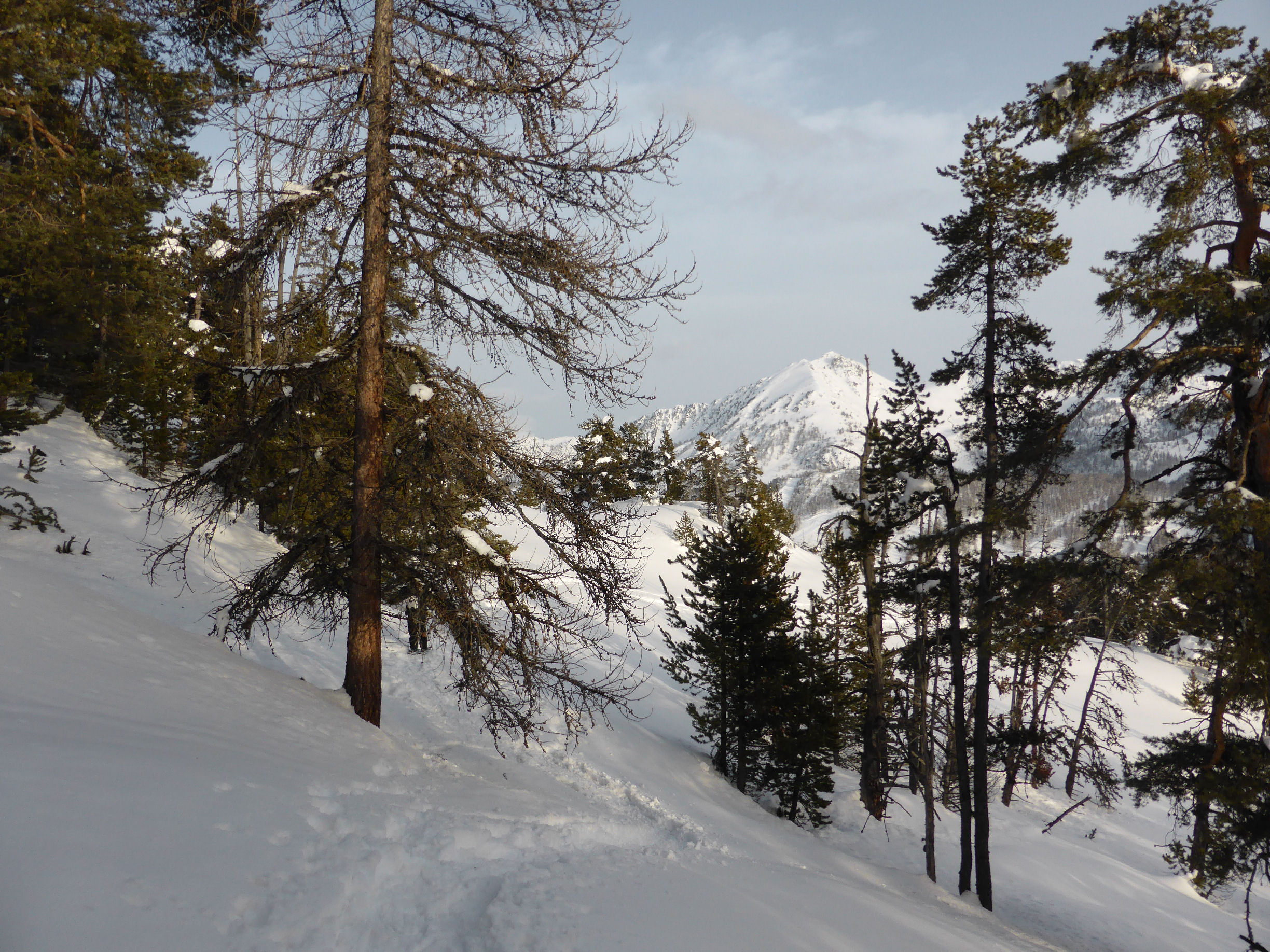 Piste de raquettes