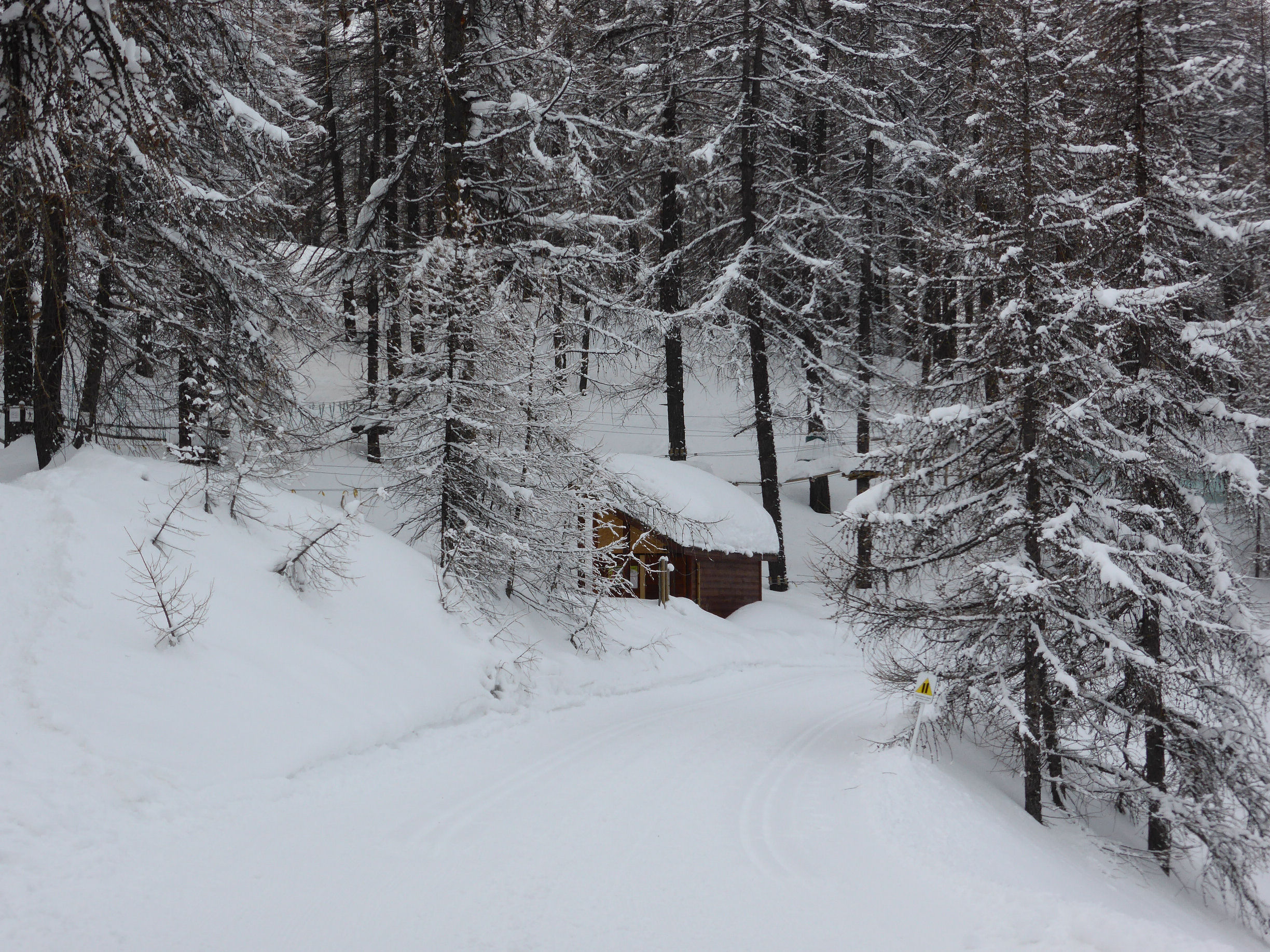 Piste de ski de fond