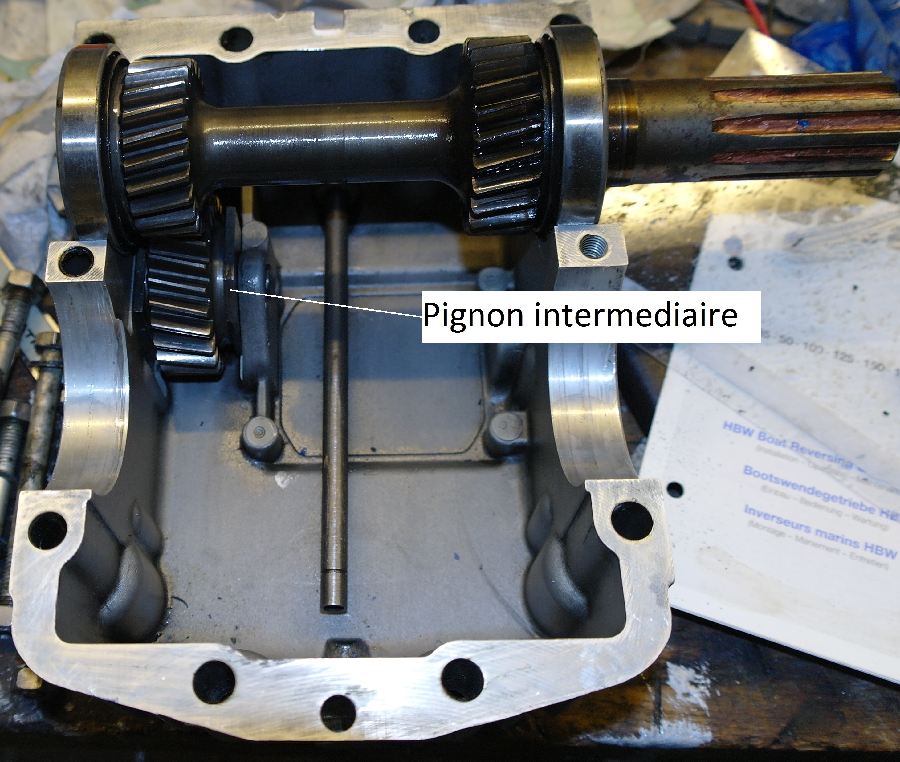 X pignon intermediaire
