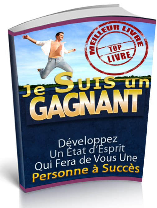 Couv 3d je suis un gagnant
