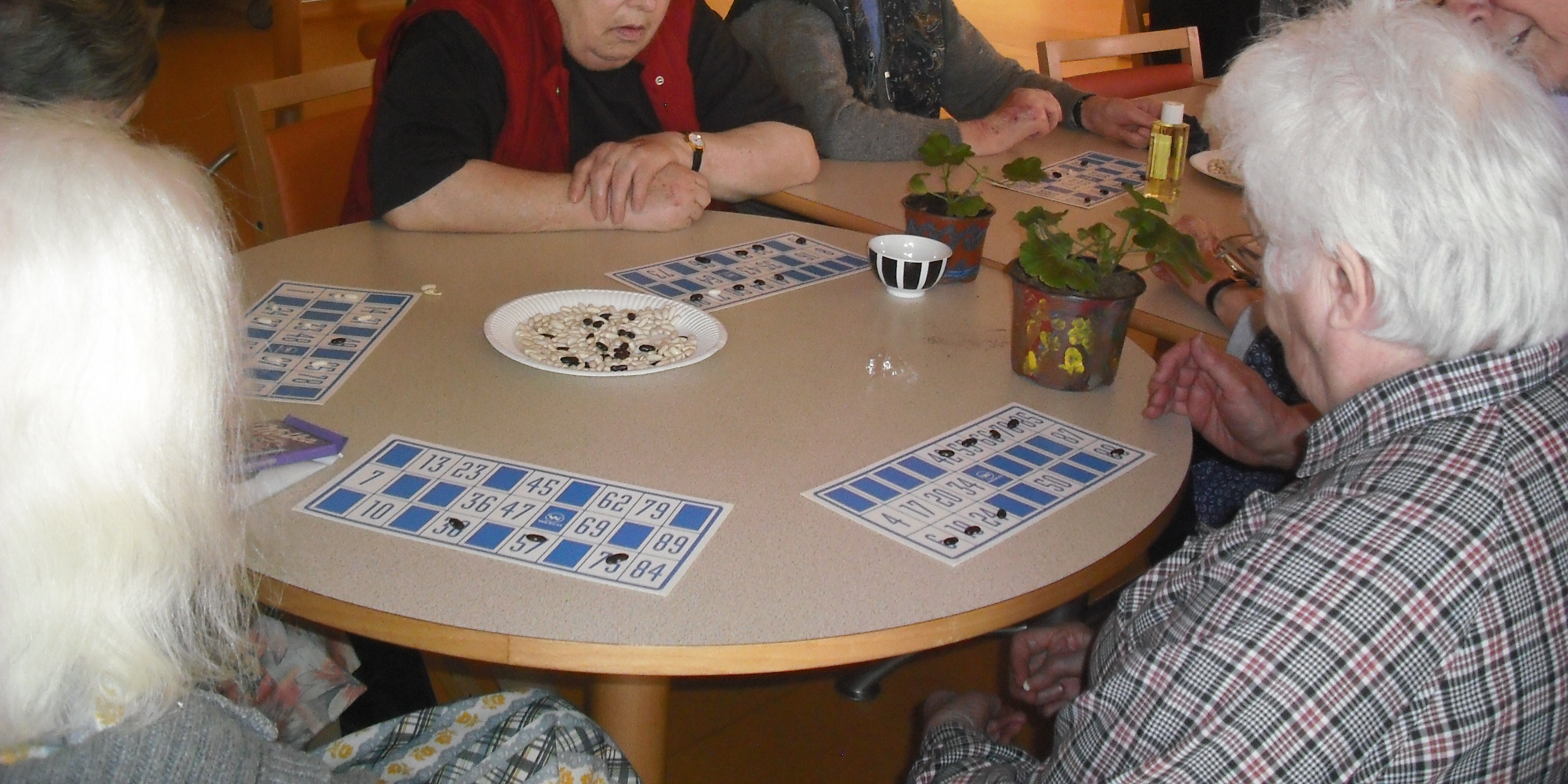 Loto