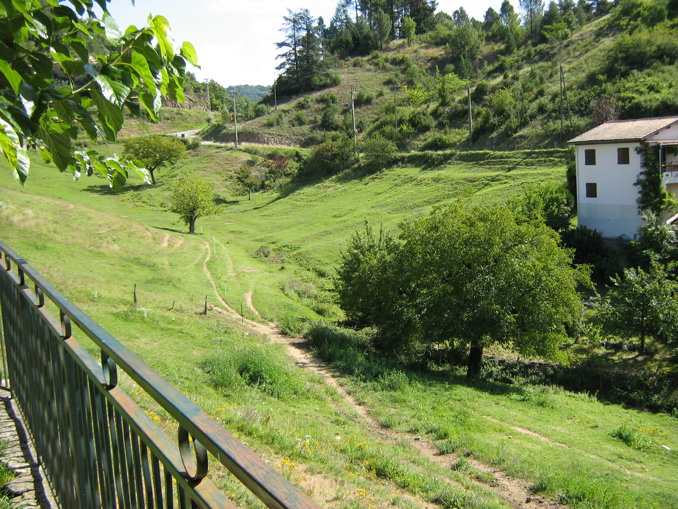 Img 0068