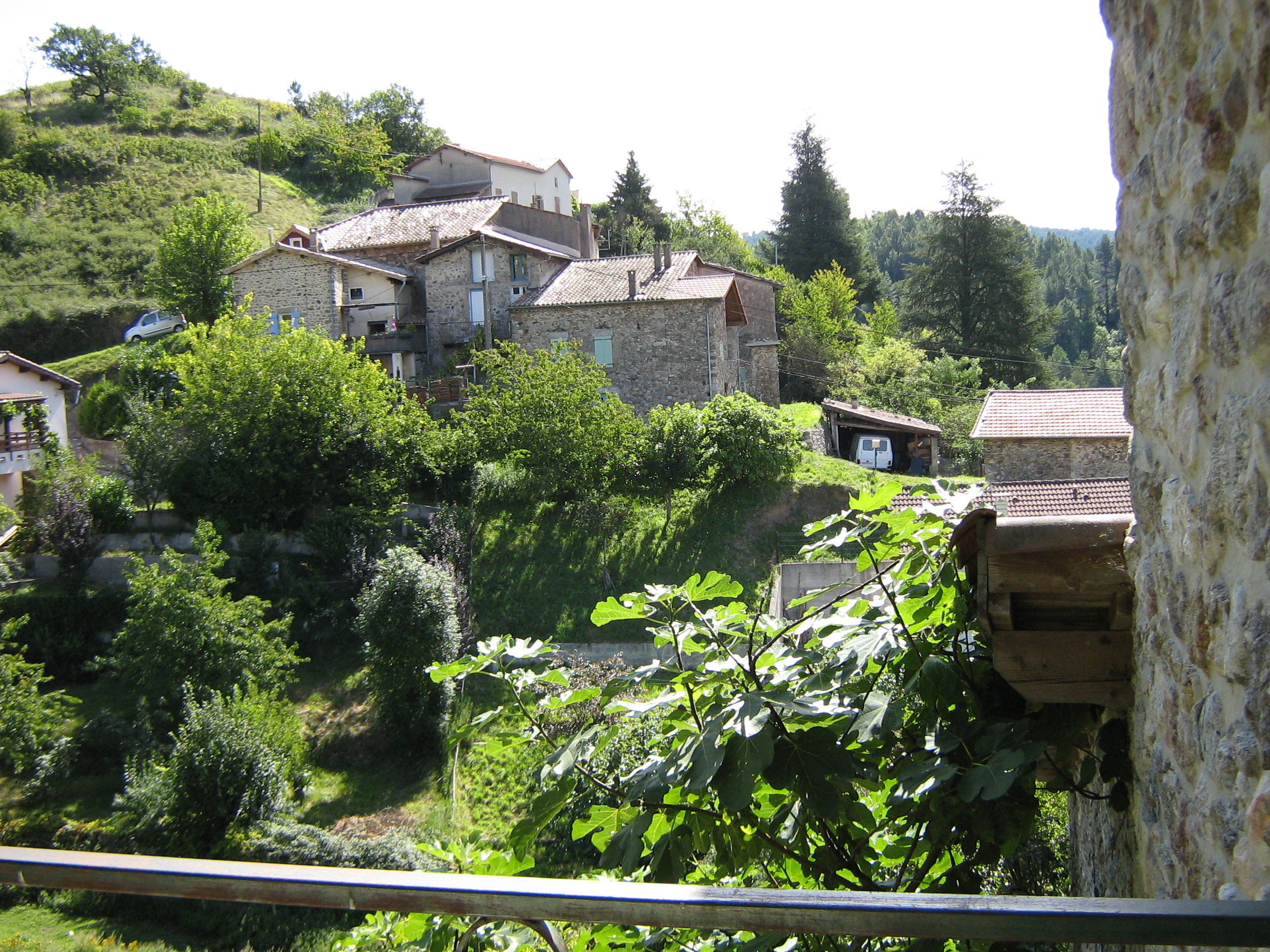 Img 0069
