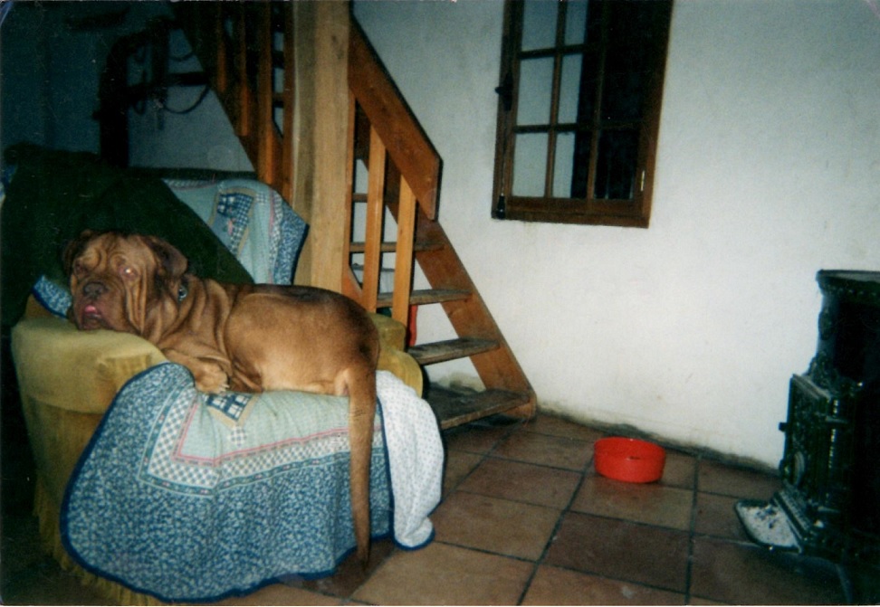 Odin