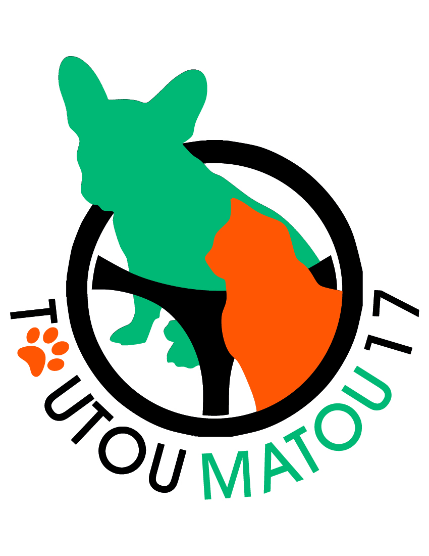 Logo toutou copie