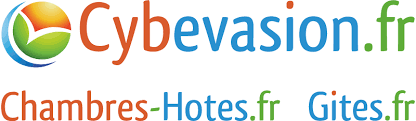 Cybevasion