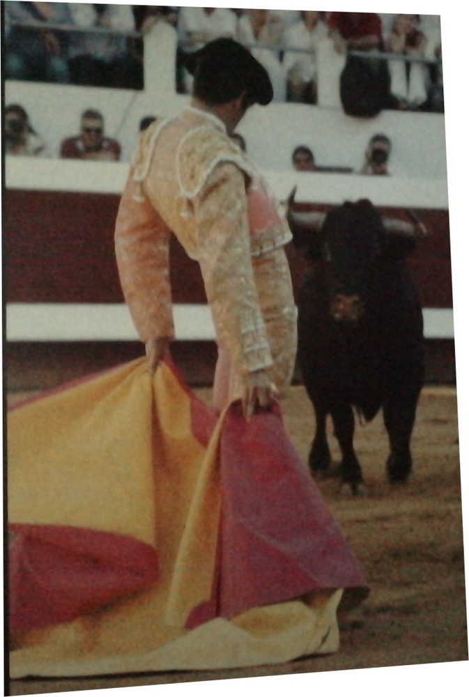 Modele