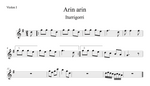 Arin-arin-Iturrigorri-V1
