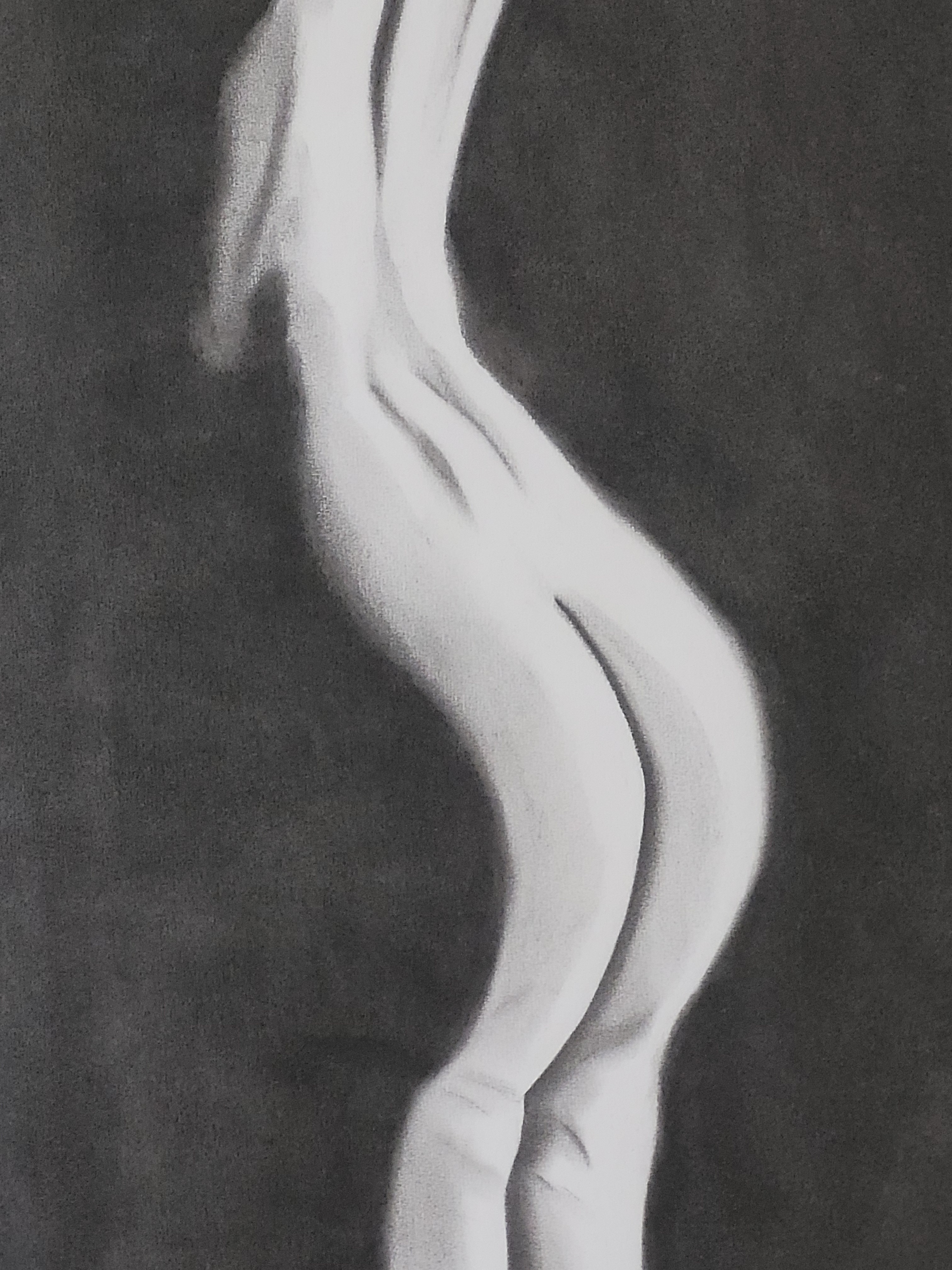 Nu dos femme