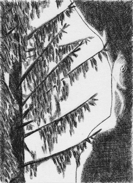 1998 11 garenne 582x800 