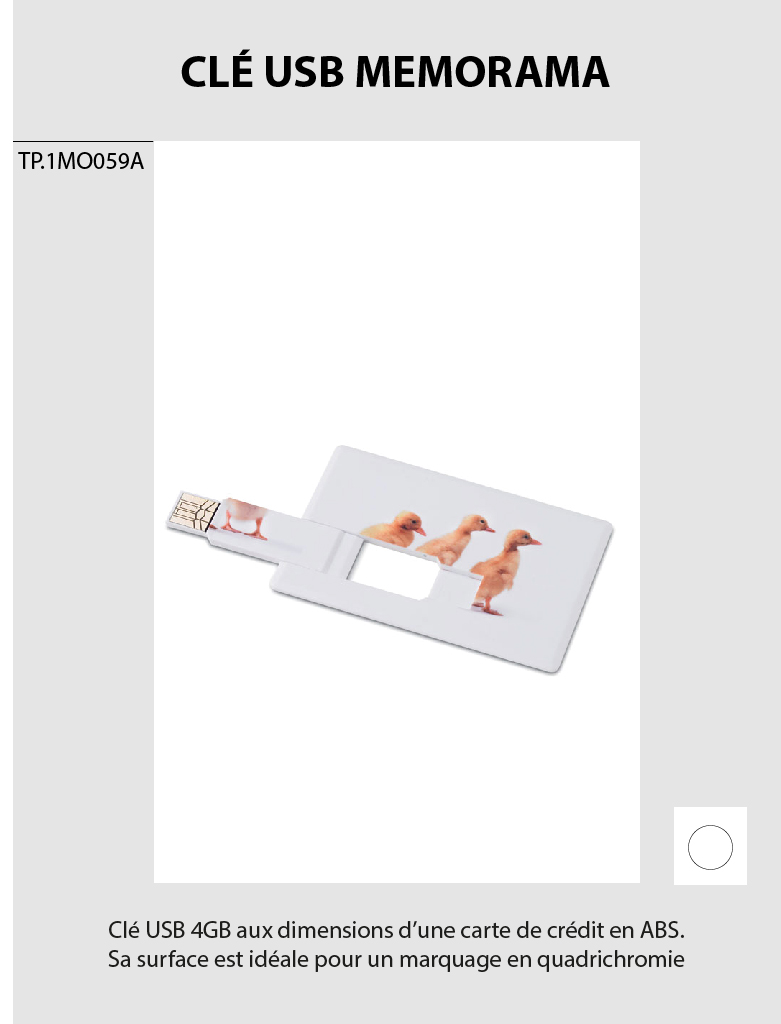 Cle-usb-memorama
