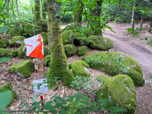 Balise-foret-2