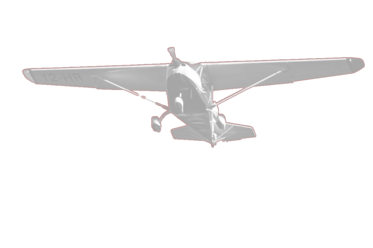 Avion-detoure-filigrane-sticker-2