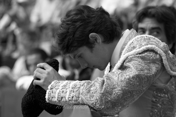 Plaisir d offrir 24new 1