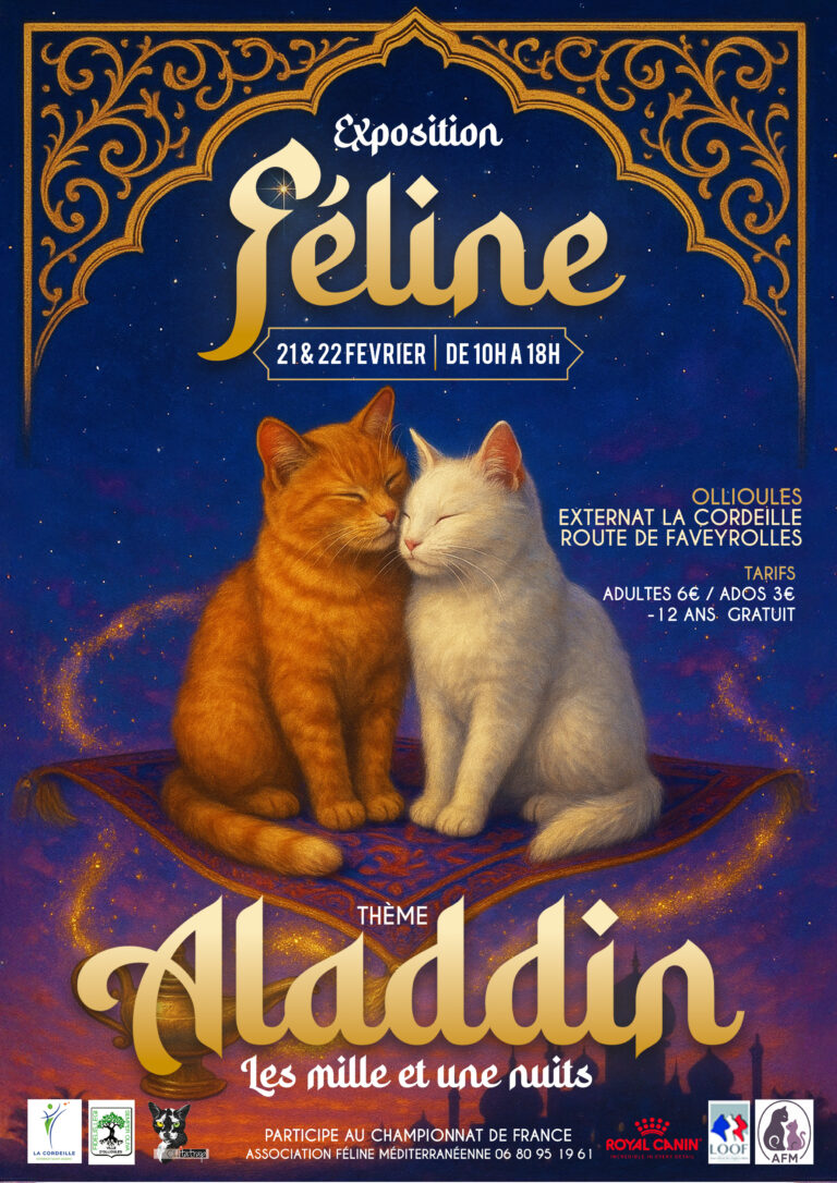 Affiche-expo-ollioules-2026-copie-768x1086