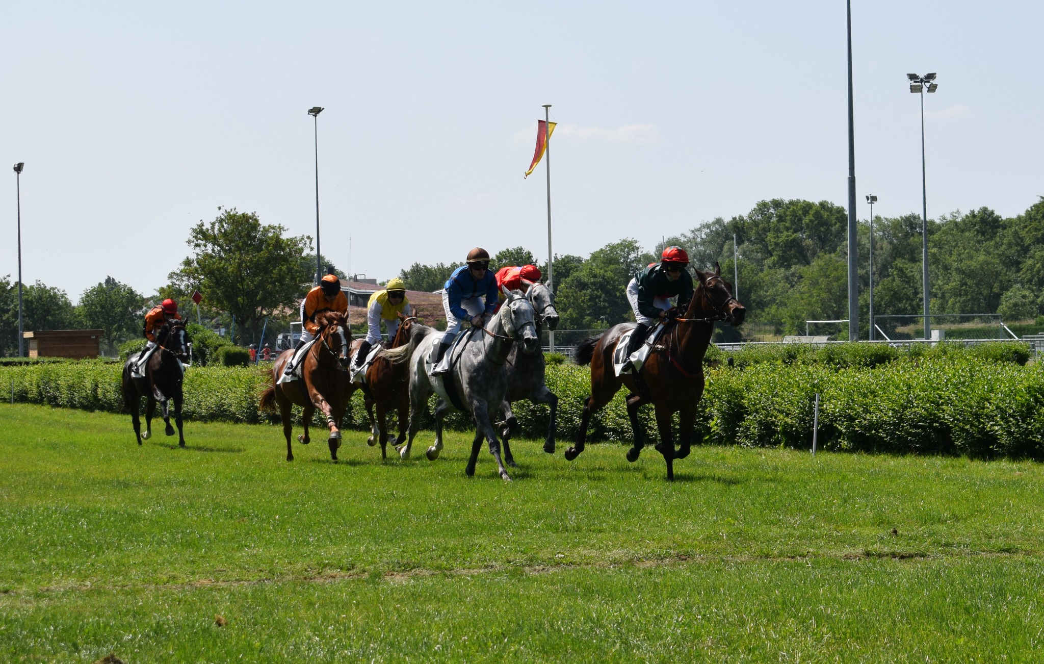 Galop