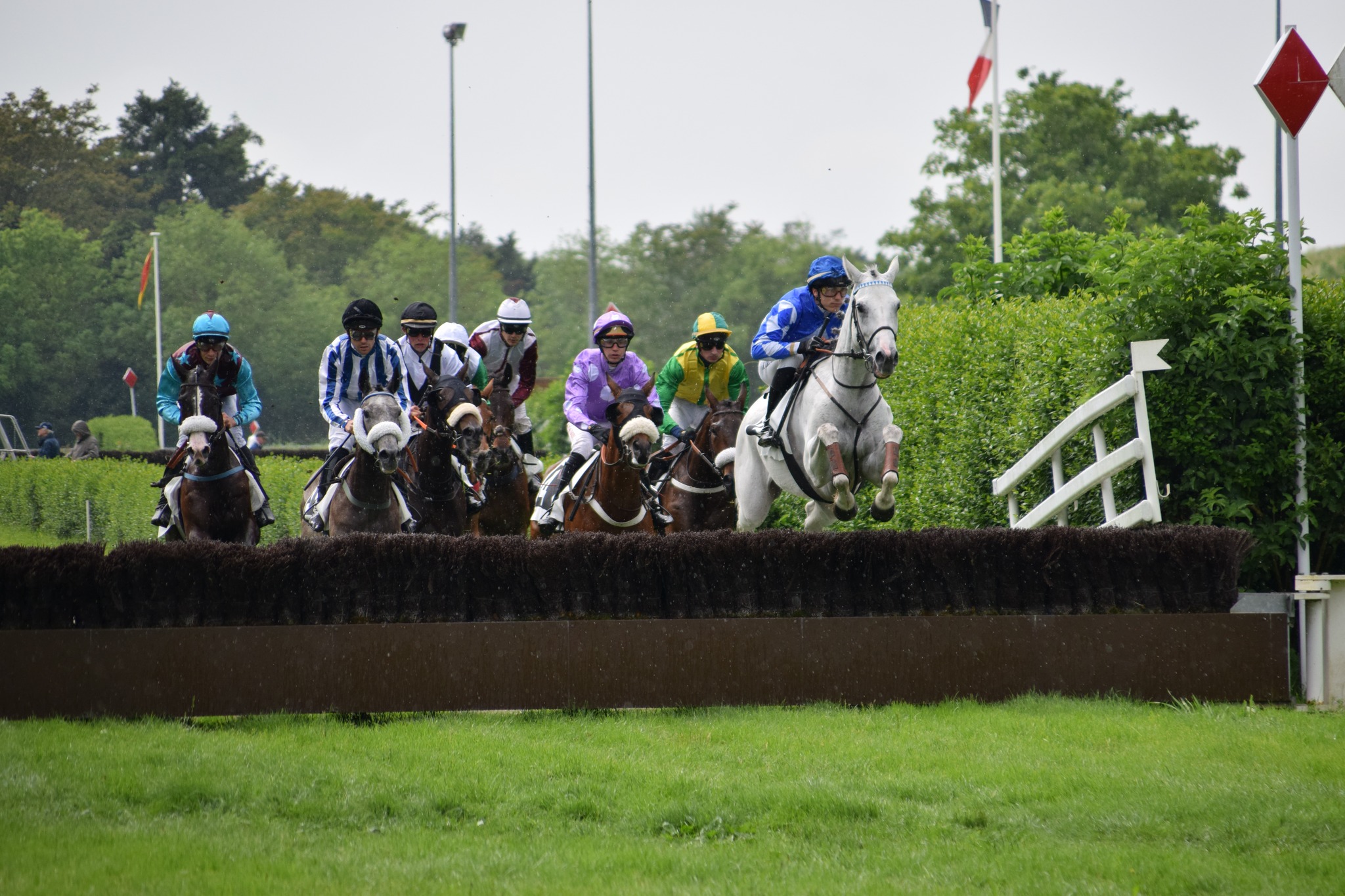 Saut cheval blanc
