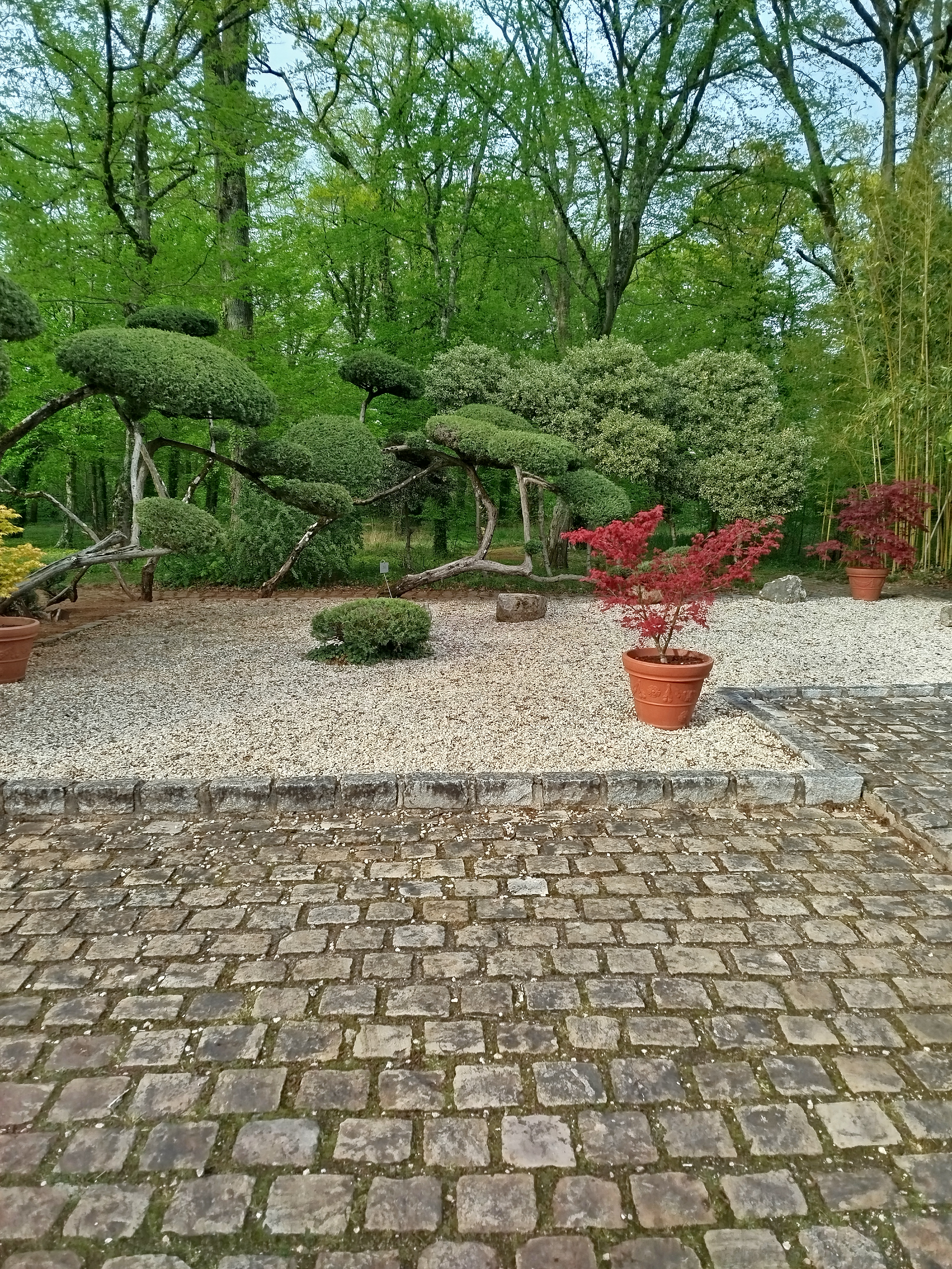 Img 20260405 181242