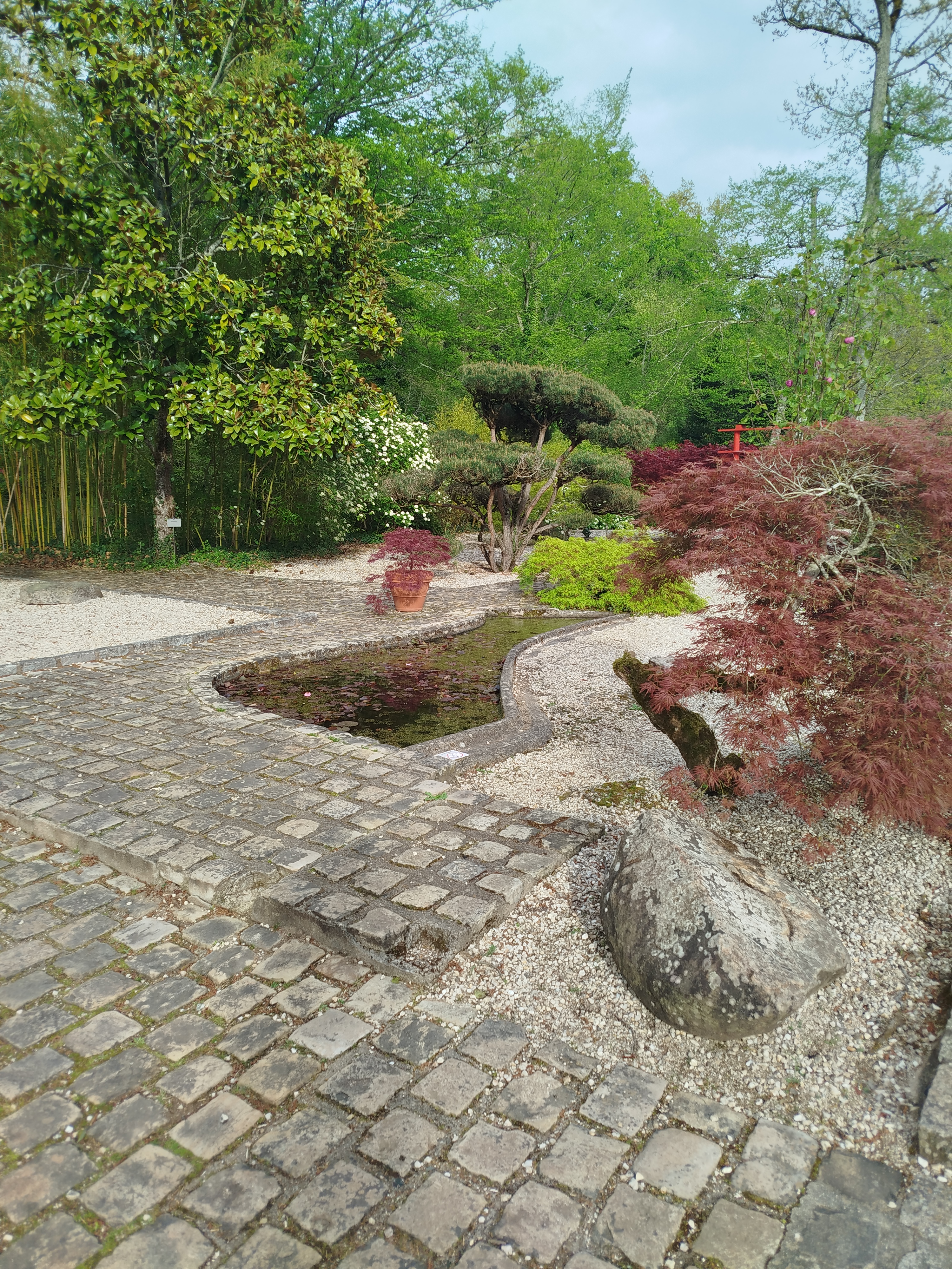 Img 20260405 181238