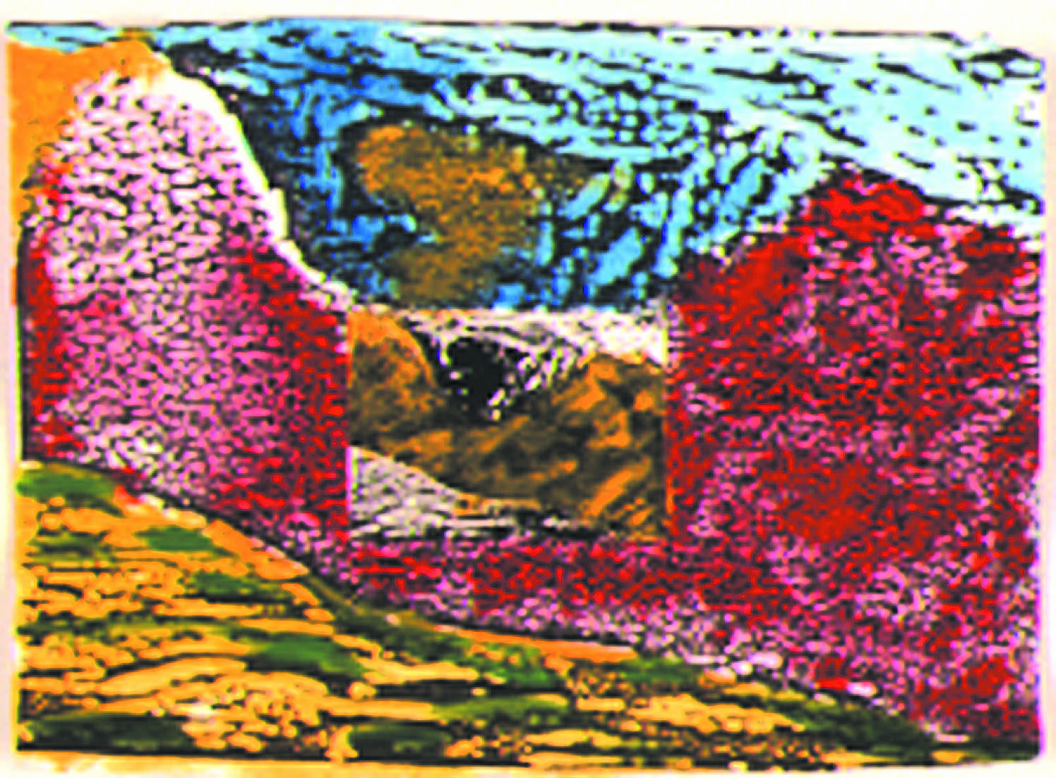 10 polychrom