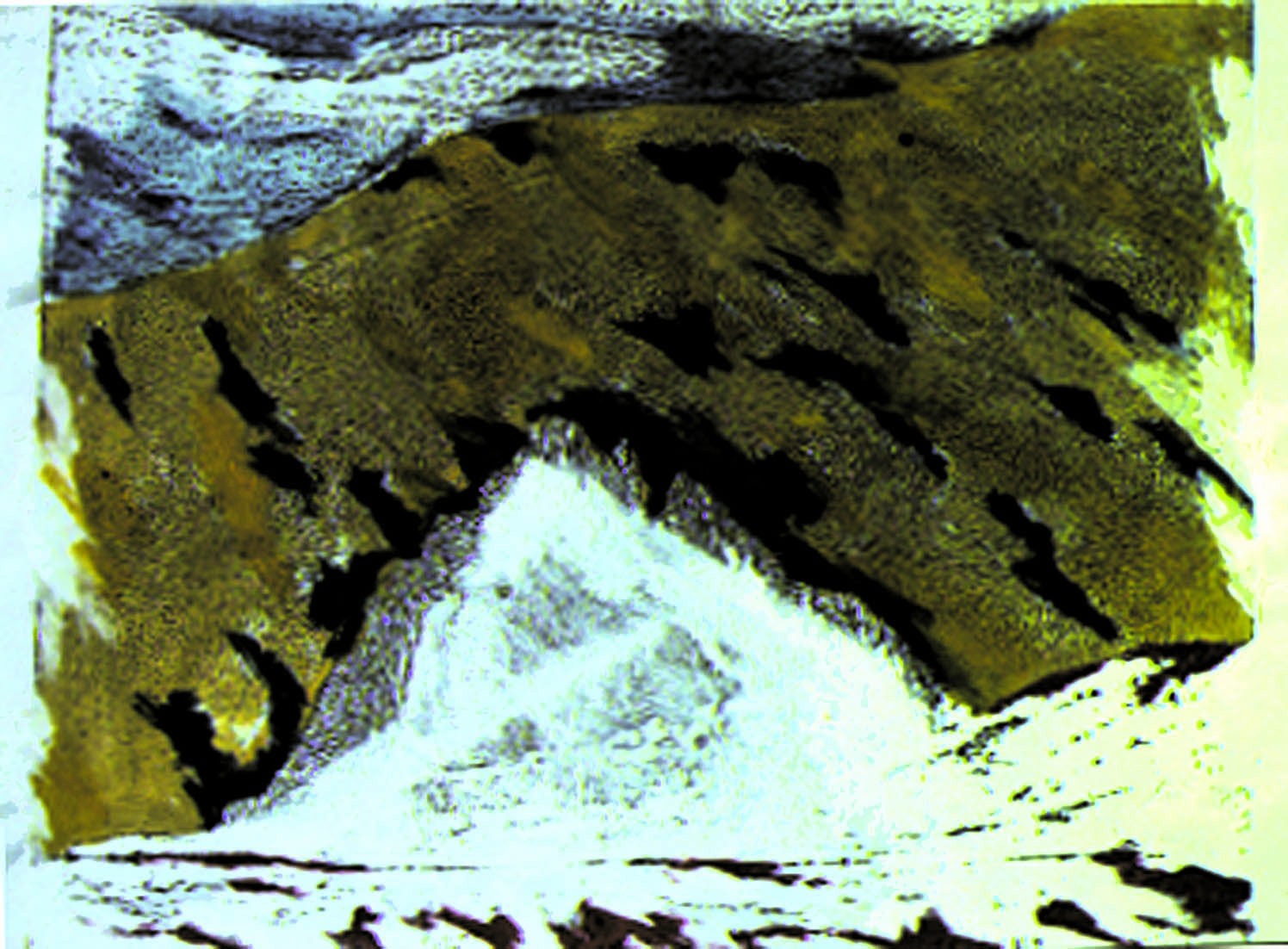 21 polychrom