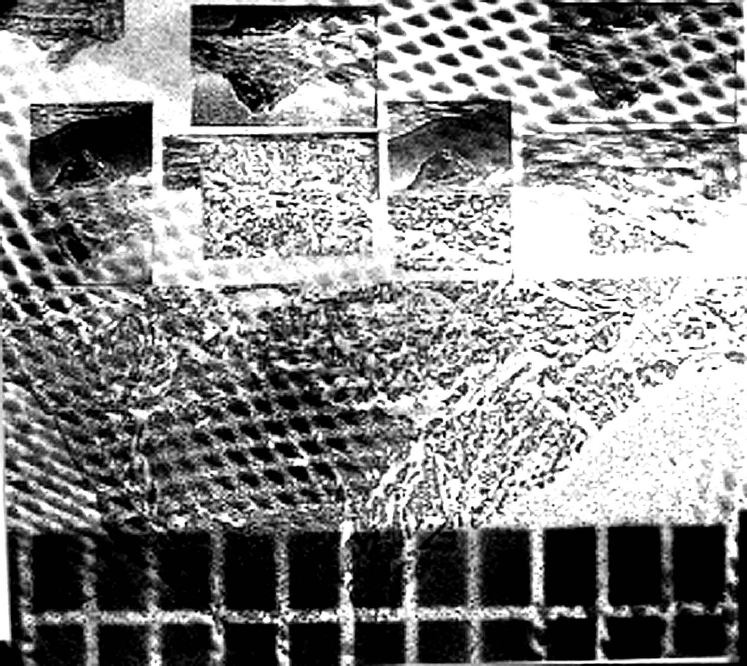 T photocopie