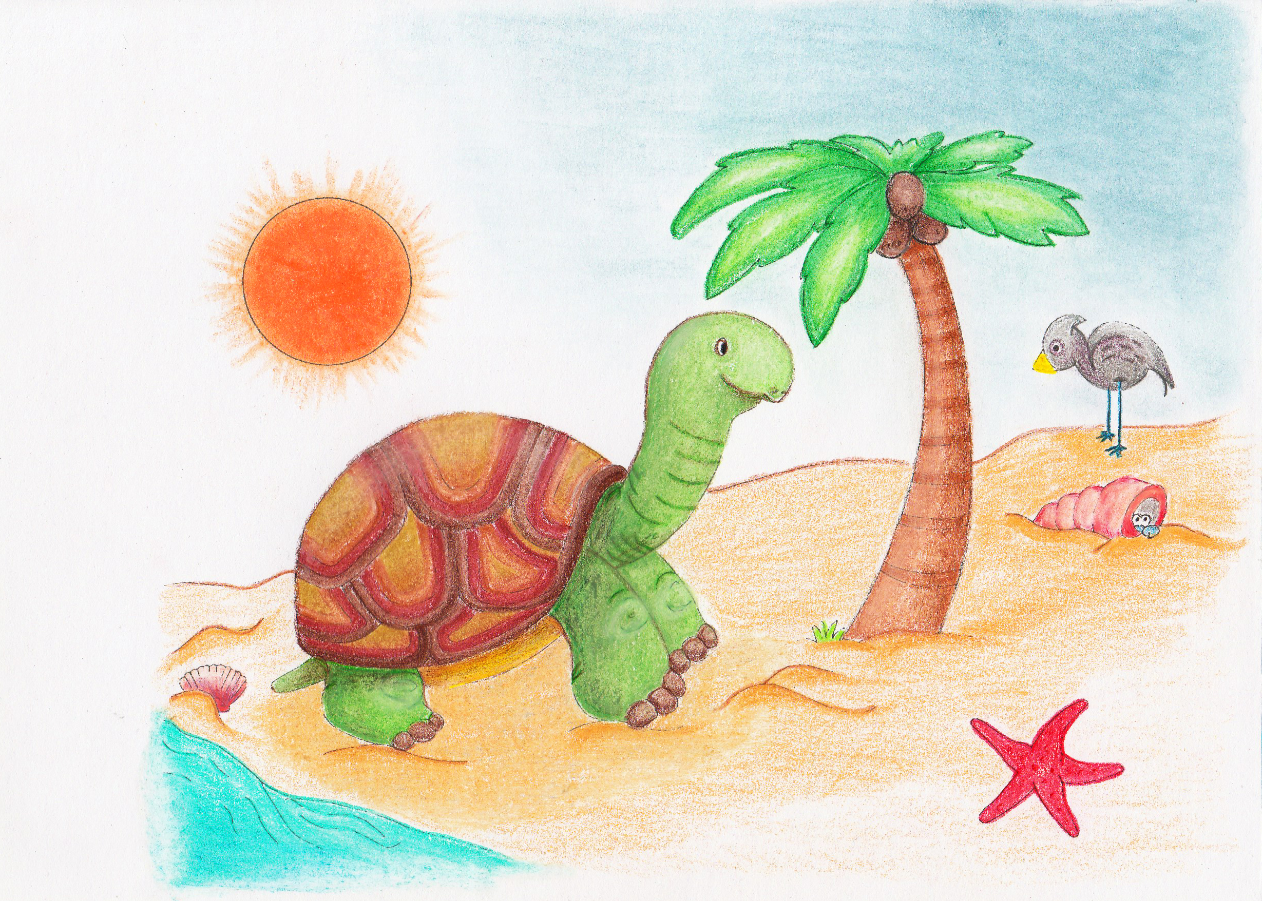 Tortue c