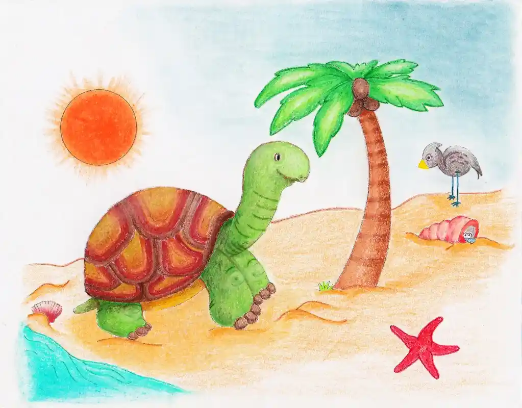 Tortue c