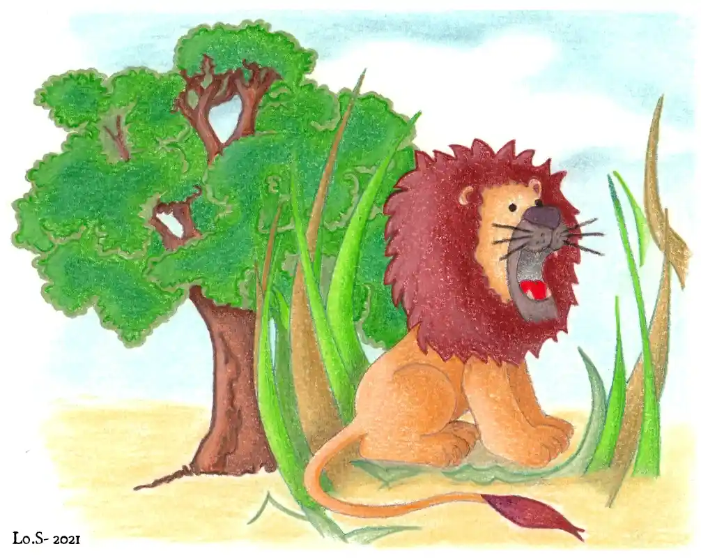 Lion c
