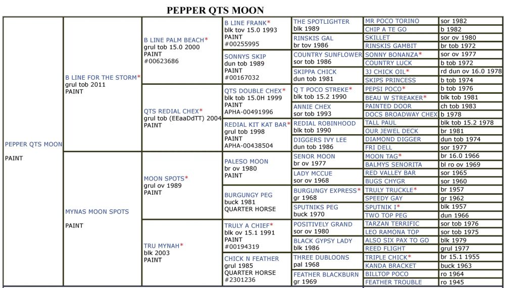 Pepper-Qts-Moon-Paint