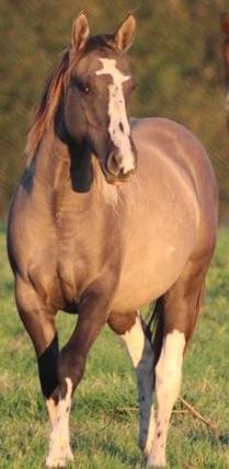 46313348 2180231392008715 5410509171948781568 n