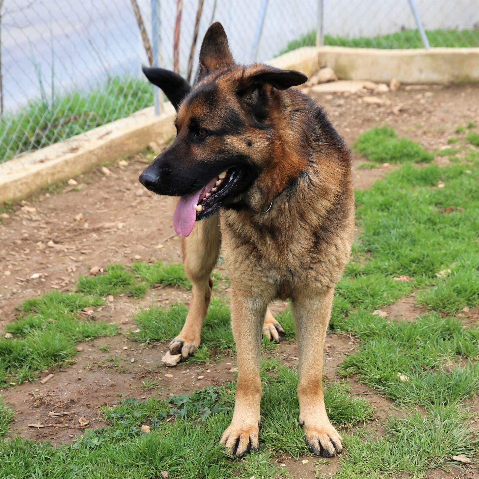 Filou003