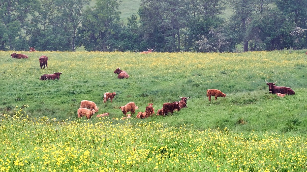 Image092