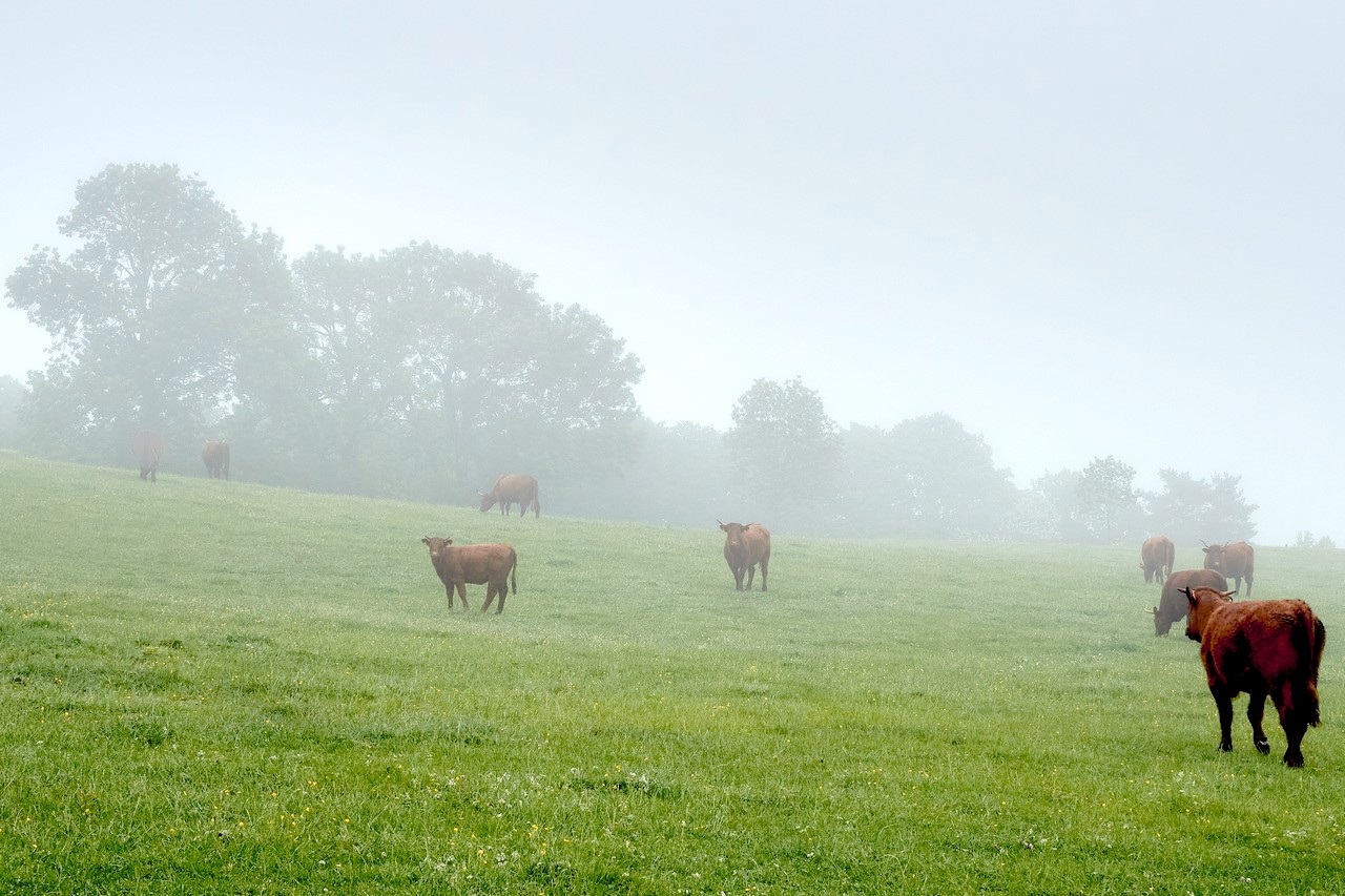 Image082