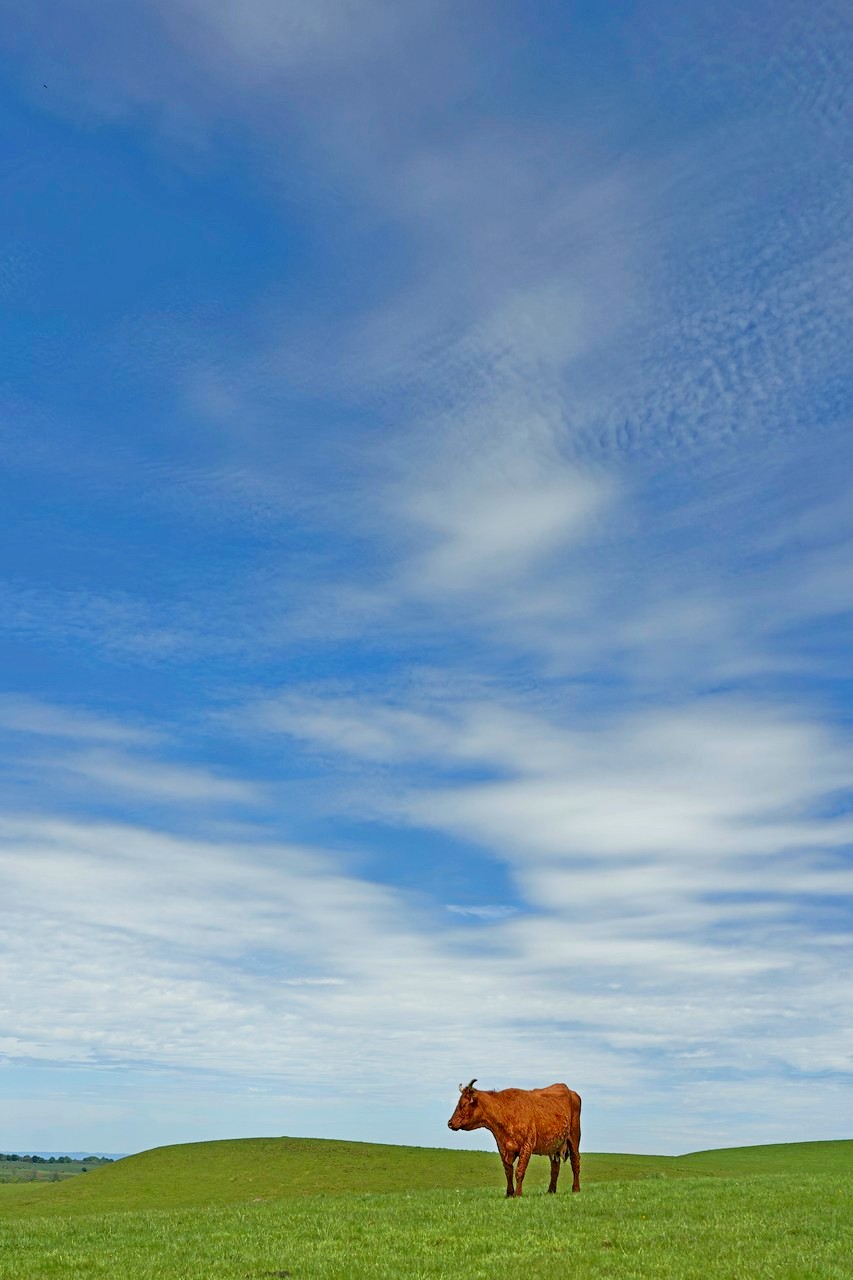 Image052