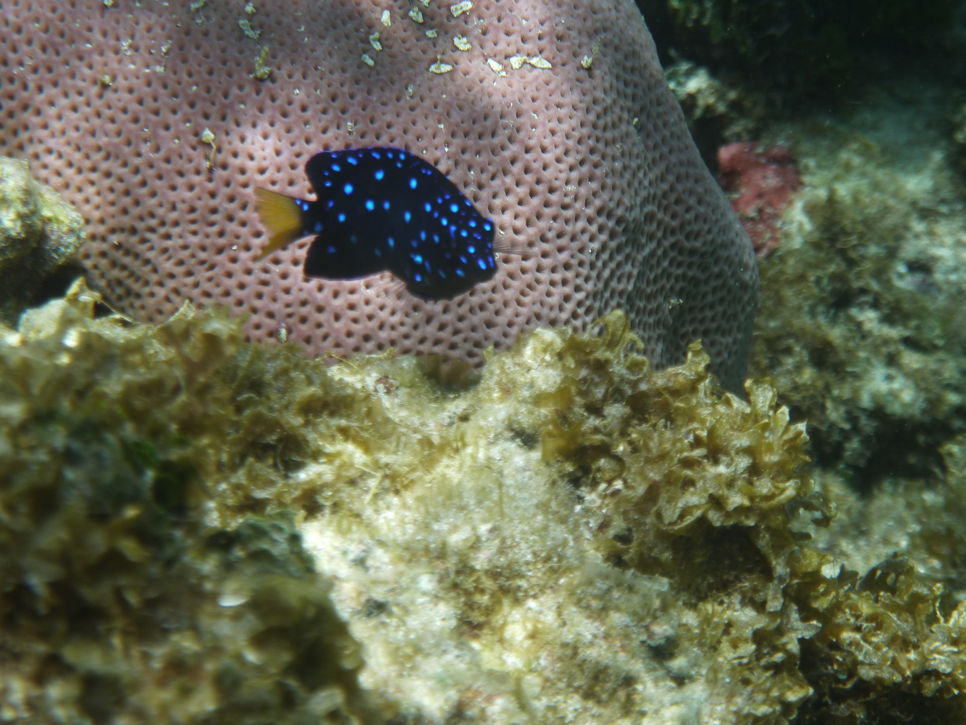 P1020249
