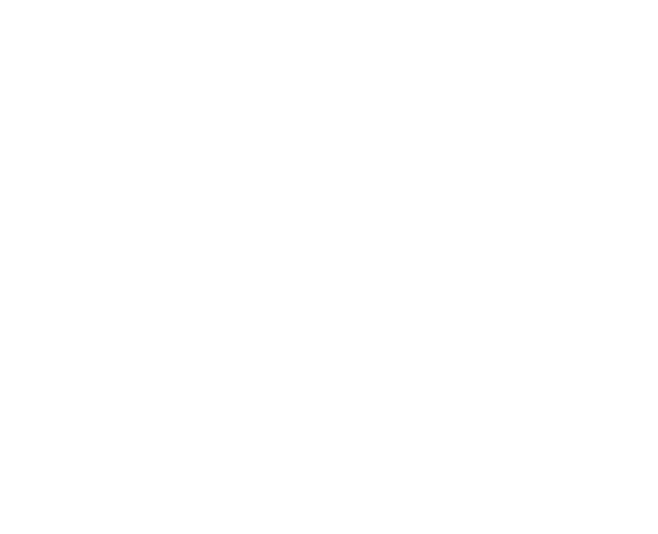 Logo-place-des-tp-blanc