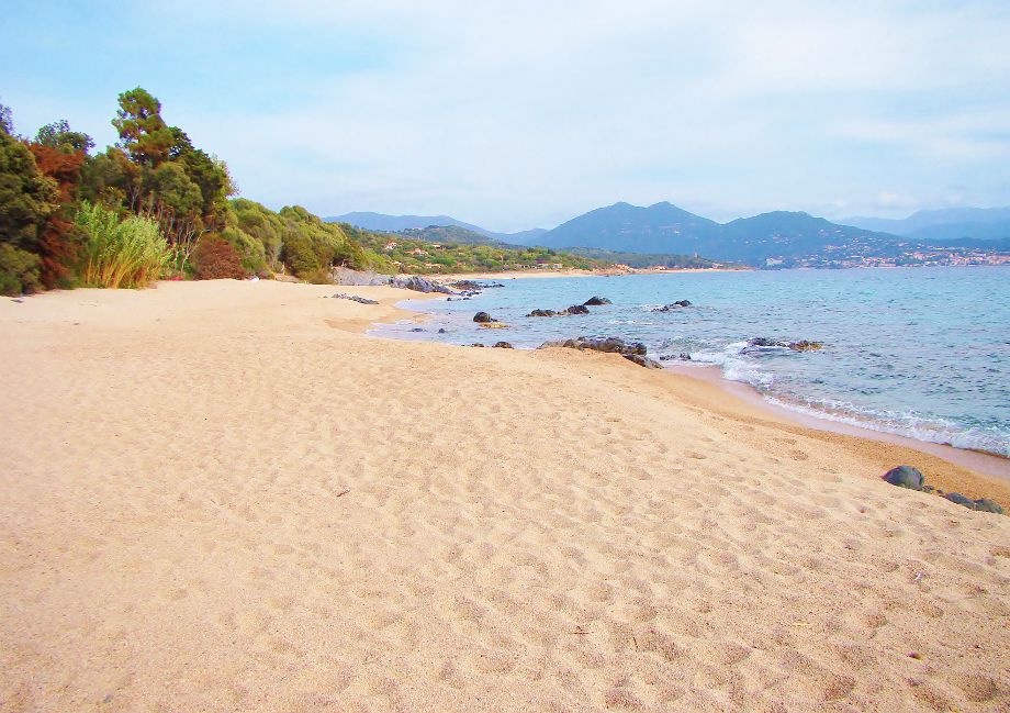 Littoral olmeto plage