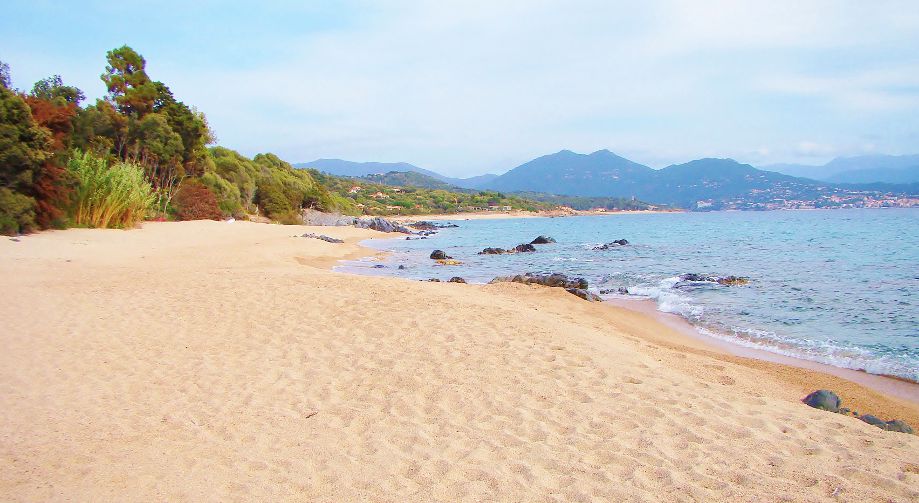 Littoral olmeto plage