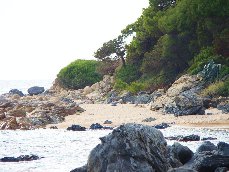 Crique sauvage avec arbres et rochers