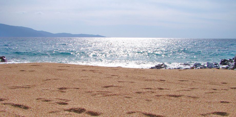 Plage de sable olmeto plage