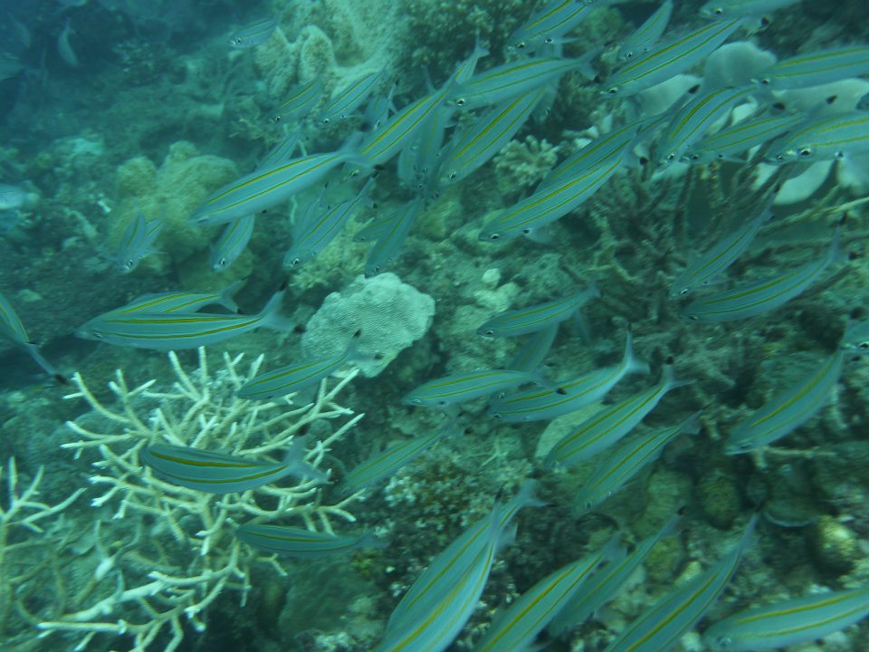 Gbr 020212 29