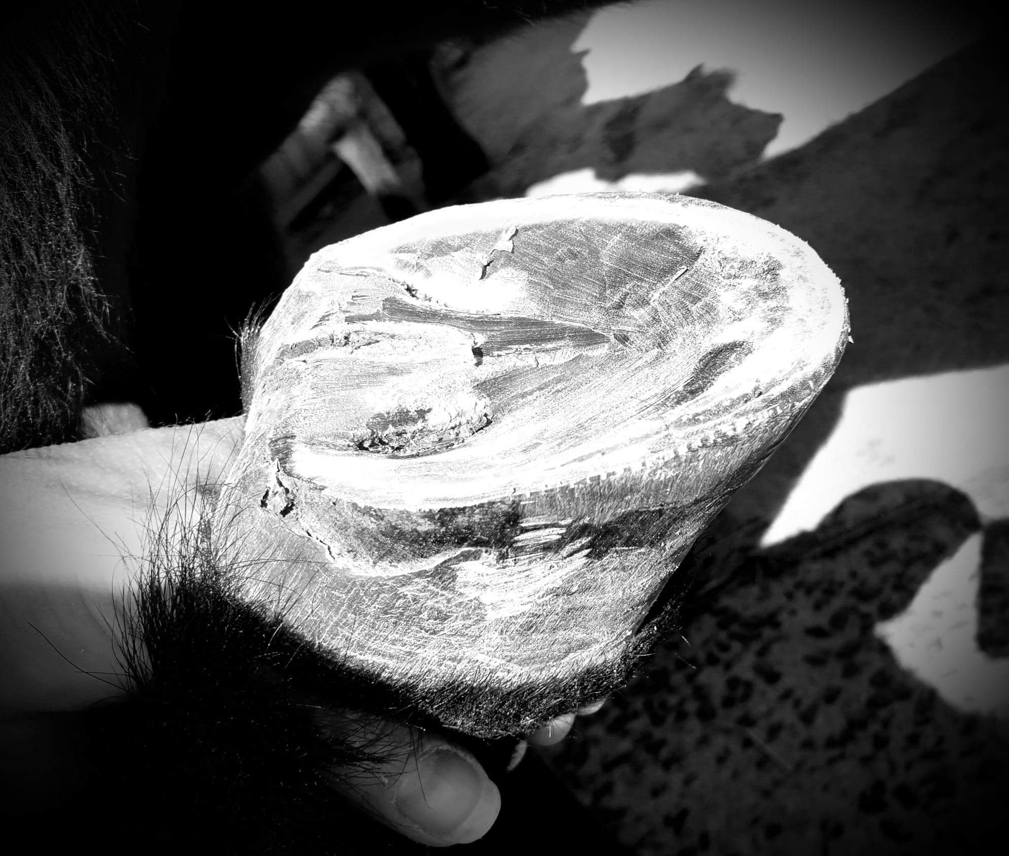 Received 356412148676213