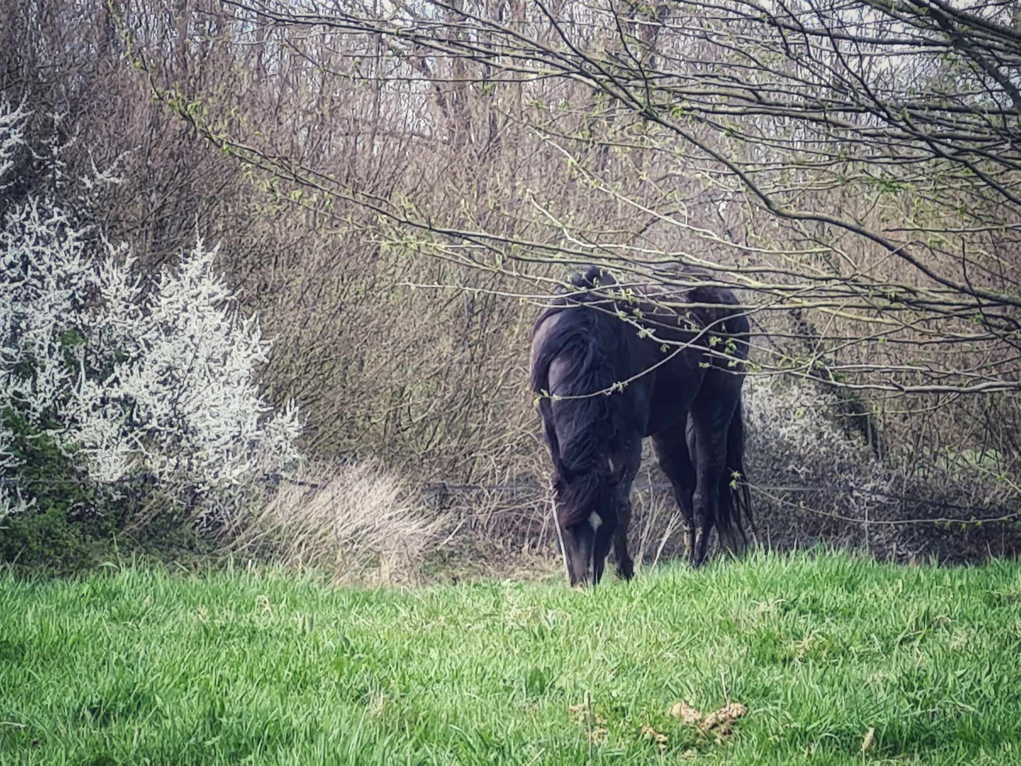 416100538 783023140393086 4798893300402684165 n