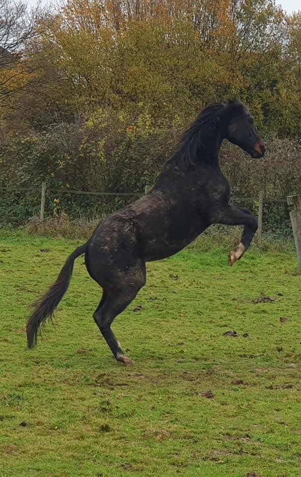 FB IMG 1762764662755