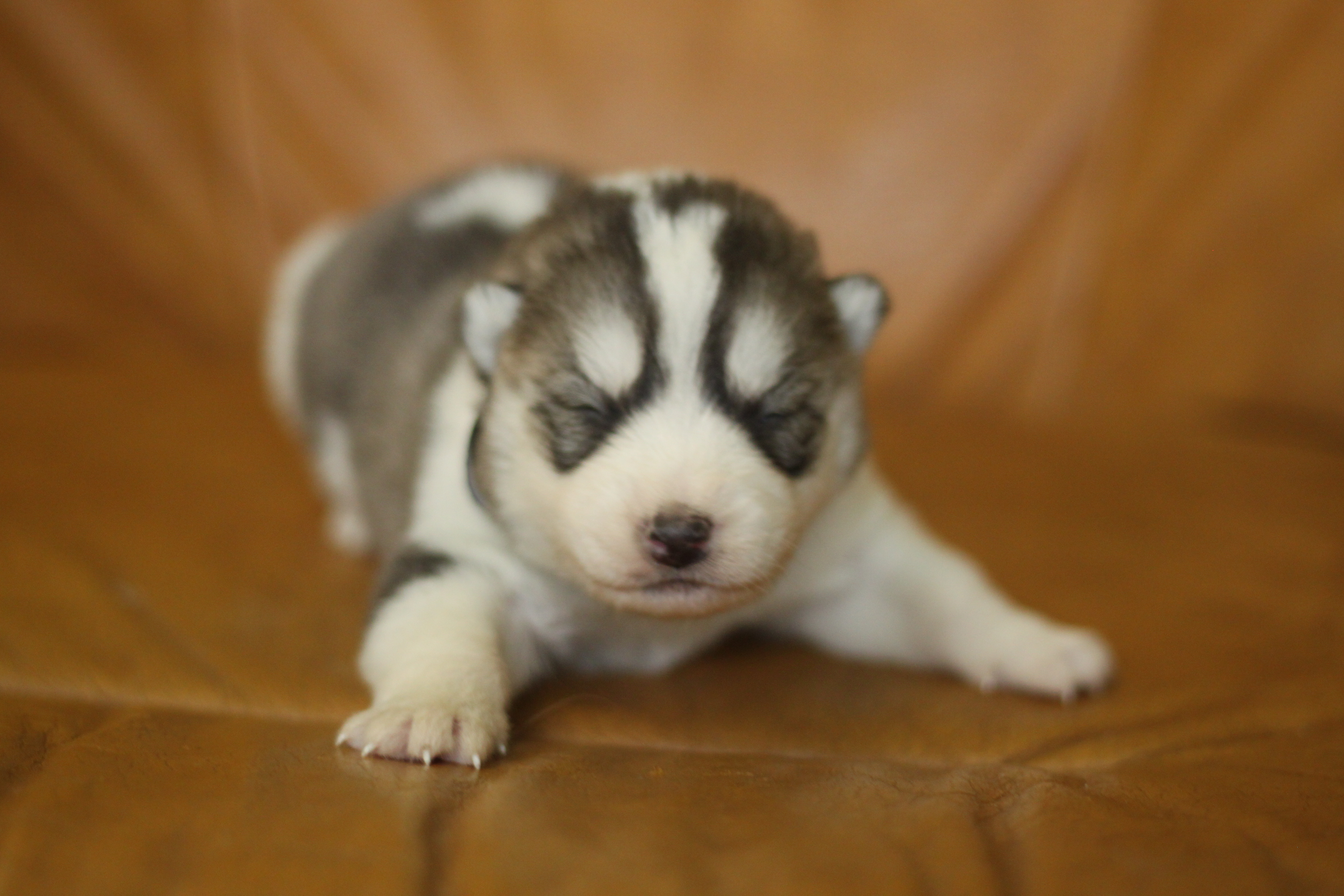 Naissance du 24 octobre 2025