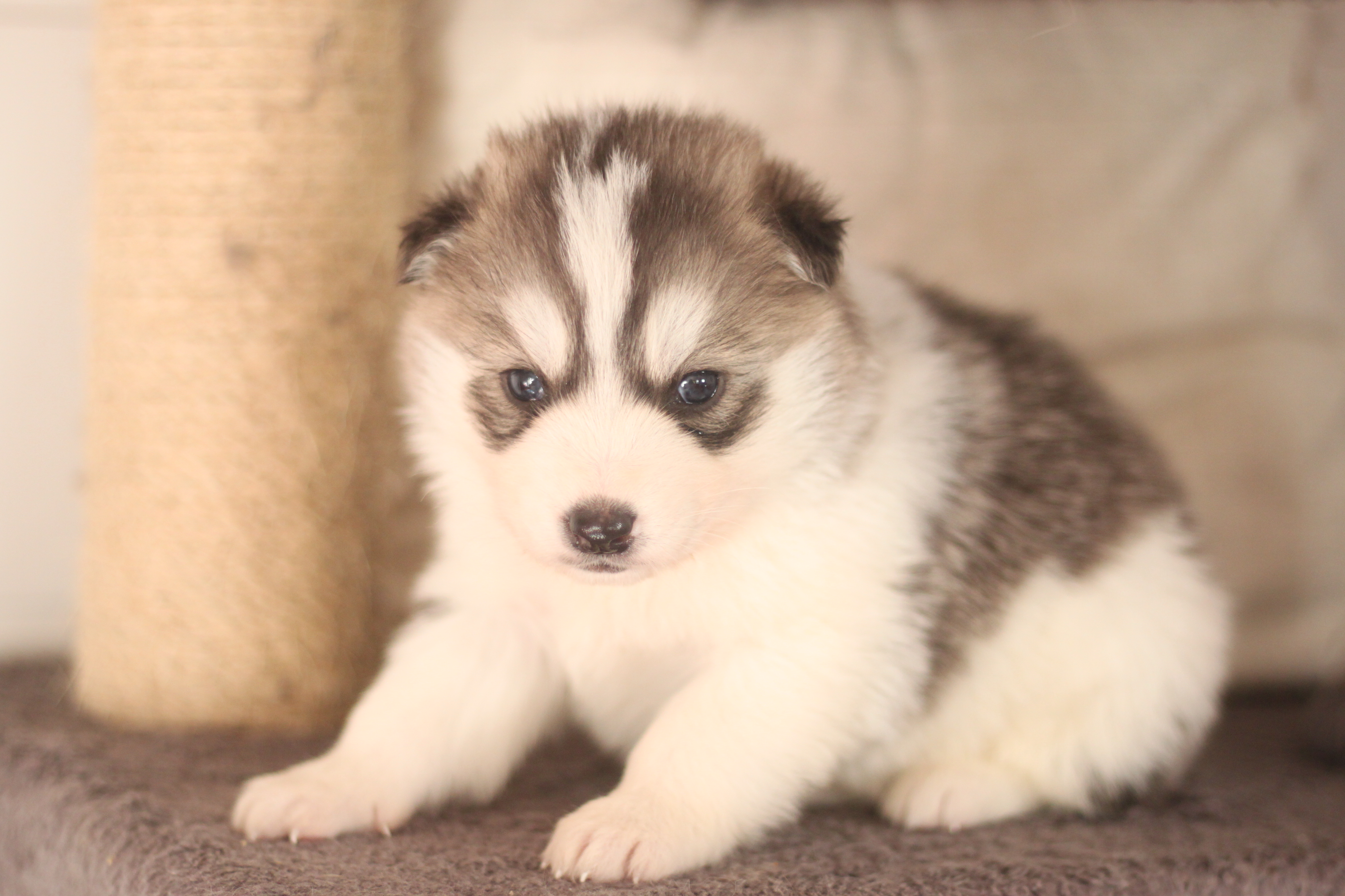 Naissance du 24 octobre 2025