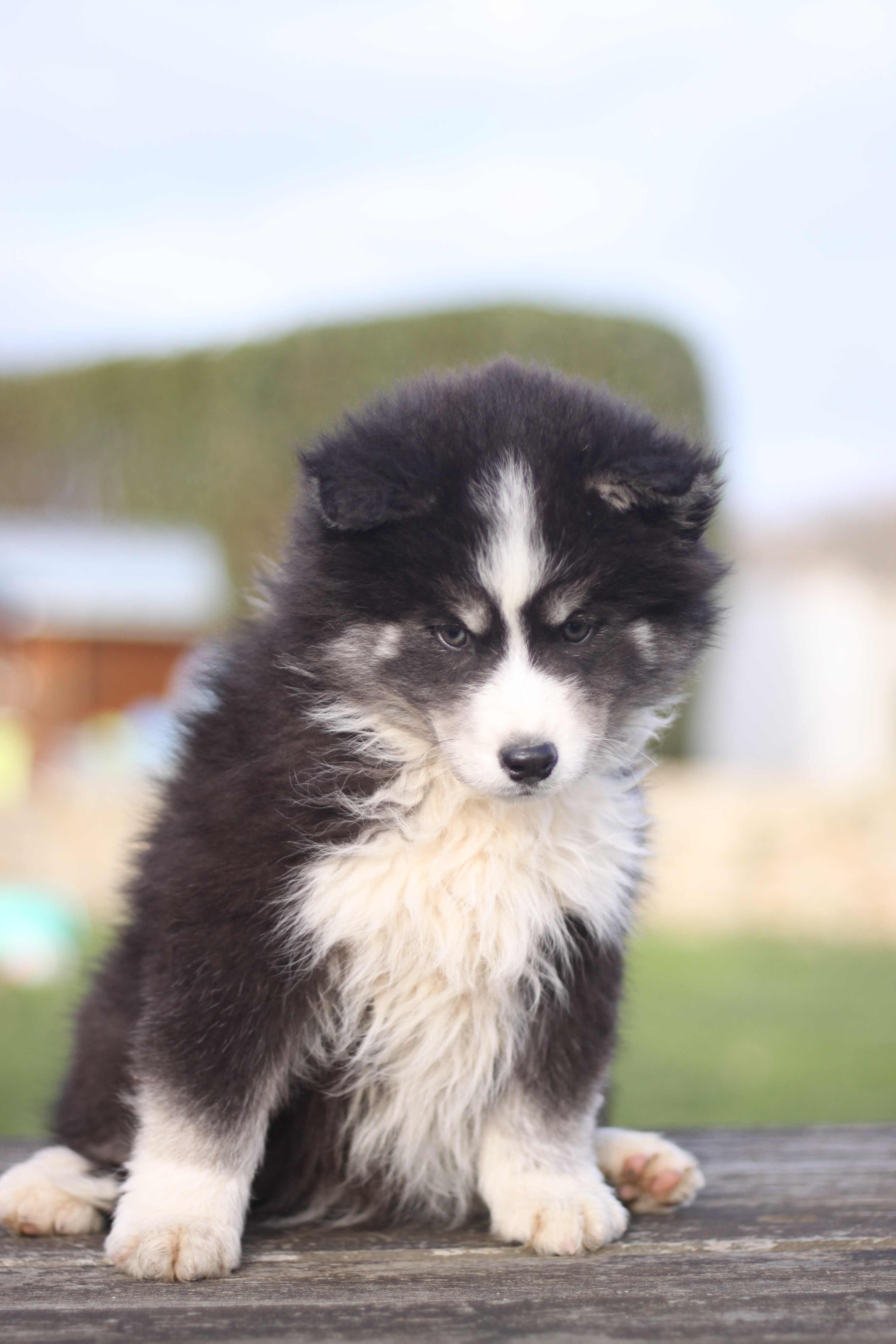 Naissance du 24 octobre 2025